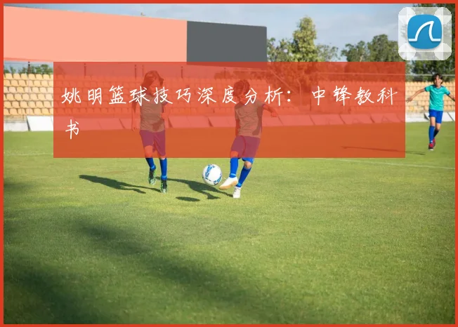 姚明篮球技巧深度分析:中锋教科书