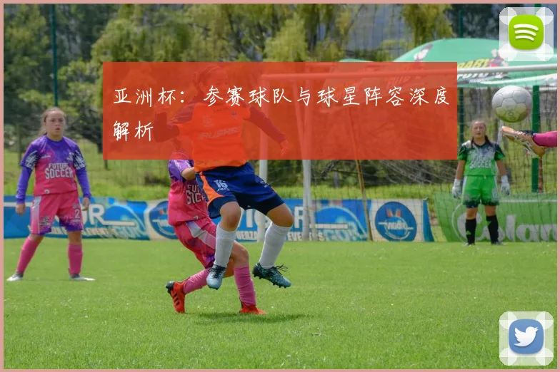 亚洲杯:参赛球队与球星阵容深度解析