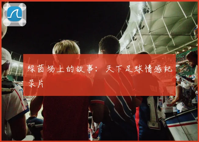 绿茵场上的故事：天下足球情感纪录片