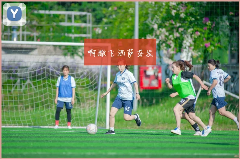 世界杯最新黑马球队：意想不到的崛起与挑战
